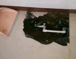 和县卫生间测漏水多少钱